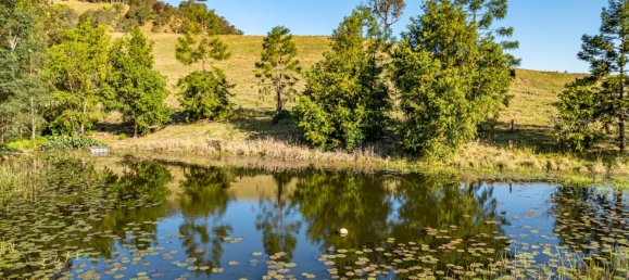 3 غرف نوم منزل في Nimbin, Australia رقم 210 25