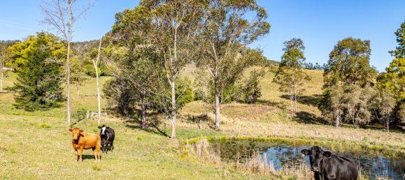 3 غرف نوم منزل في Nimbin, Australia رقم 210 20
