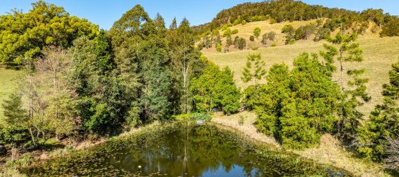 3 غرف نوم منزل في Nimbin, Australia رقم 210 19