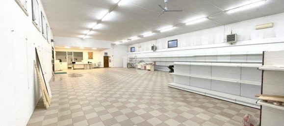 500m² Warehouse in Goito, Italy No. 309572 8