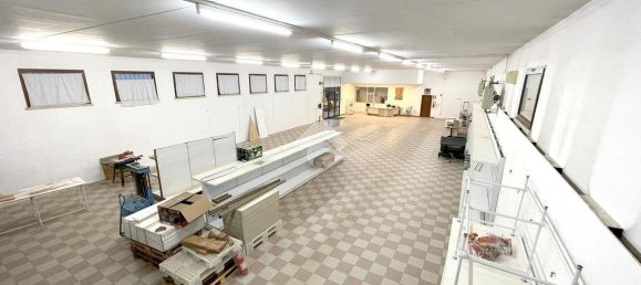 500m² Warehouse in Goito, Italy No. 309572 14