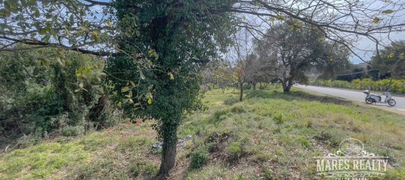 1551m² Land in Lloret de Mar, Spain No. 11301 7