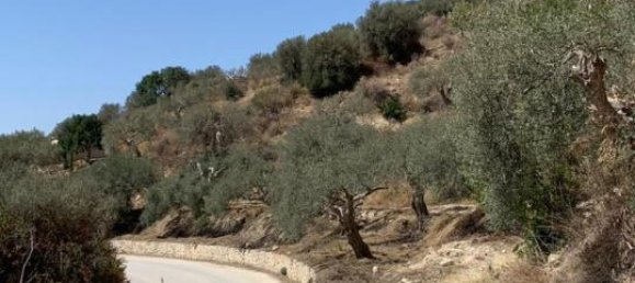 2غرفة فيلا في Palazzolo Acreide, Italy رقم 237344 21