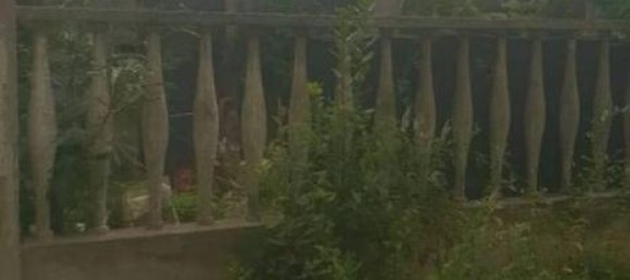 5غرفة فيلا في Pordenone, Italy رقم 35894 33