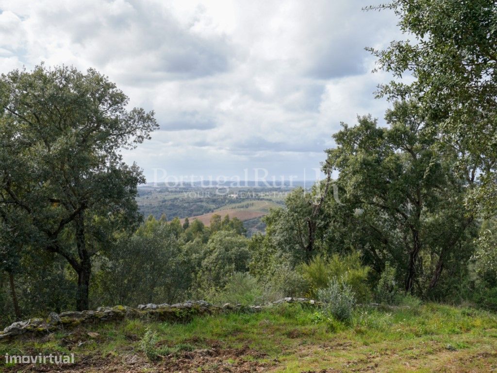 5 Schlafzimmer Haus in Mouriscas, Portugal, Nr. 192347