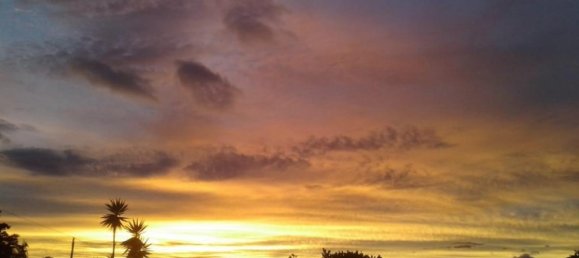 Terrain à San Ramon, Costa Rica No. 1808 3