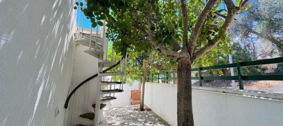 10 bedrooms Villa in Andrano, Italy No. 311024 45