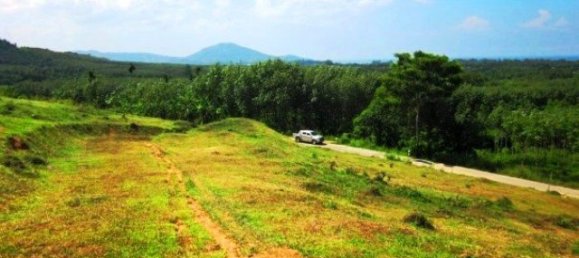 9988m² Commercial property in Mai Khao, Thailand No. 12326 6