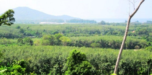 9988m² Commercial property in Mai Khao, Thailand No. 12326