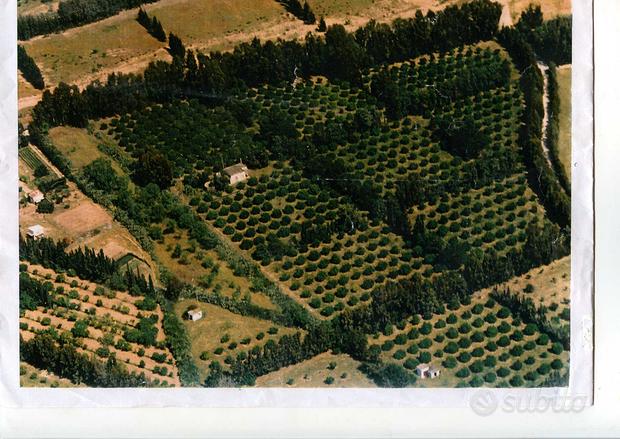 80000m² Land in Sardinia, Italy No. 281331