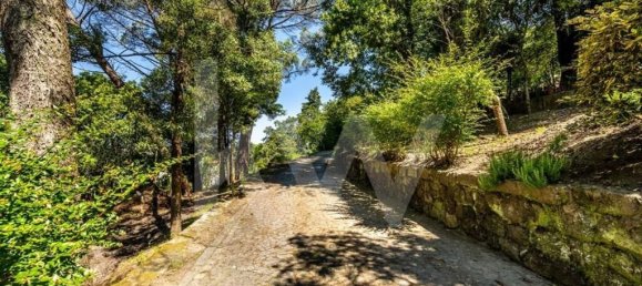 6 غرف نوم تاون هاوس في Marco de Canaveses, Portugal رقم 37814 21