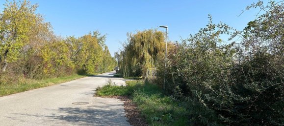 1170m² Land in Neusiedl am See, Austria No. 82073 13