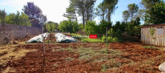 5 bedrooms Villa in Martina Franca, Italy No. 117769 43