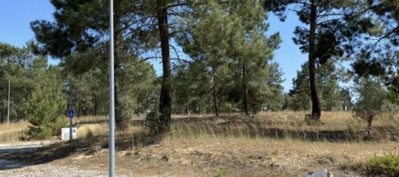 Grundstück in Alcacer do Sal, Portugal 154749m², Nr. 122916 2