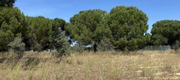 Grundstück in Alcacer do Sal, Portugal 154749m², Nr. 122916 5