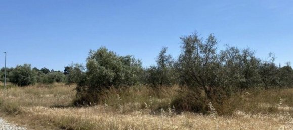 Grundstück in Alcacer do Sal, Portugal 154749m², Nr. 122916 9