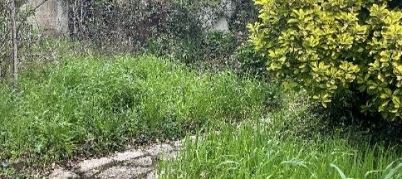 1 bedroom House in Occitanie, France No. 284326 14