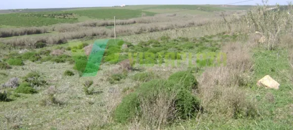 Terrain à Vila do Bispo, Portugal 5000m² No. 68414 7