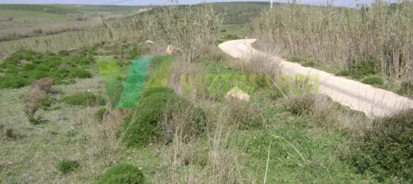 Terrain à Vila do Bispo, Portugal 5000m² No. 68414 8