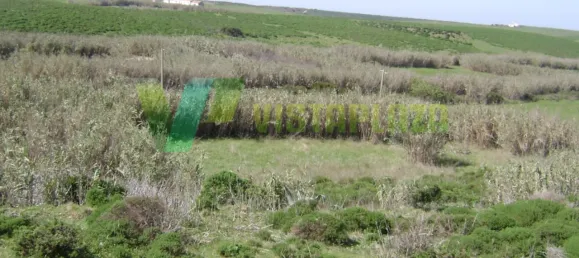 Terrain à Vila do Bispo, Portugal 5000m² No. 68414 9