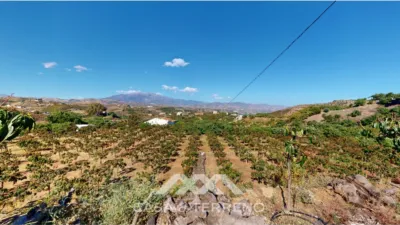 3 bedrooms House in Benamocarra, Spain No. 56426