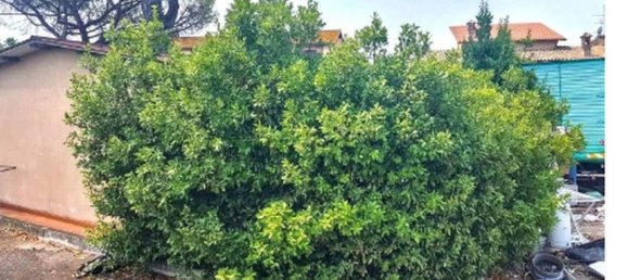 1869m² Commercial property in Rome, Italy No. 340820 7