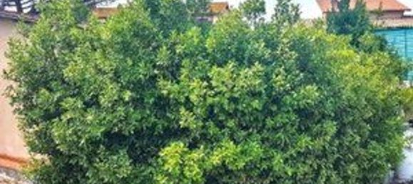 1869m² Commercial property in Rome, Italy No. 340820 13