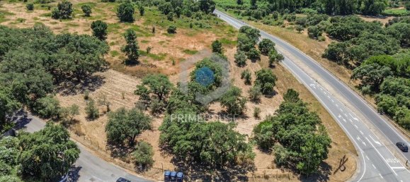 Grundstück in Setubal, Portugal 39450m², Nr. 248193 25