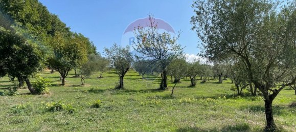 Дом с 1 спальней в Роккетта а Вольтурно, Италия № 308700 19