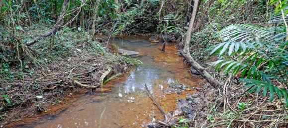 3 bedrooms House in South Johnstone, Australia No. 774 10