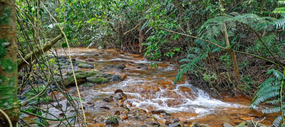 3 bedrooms House in South Johnstone, Australia No. 774 9