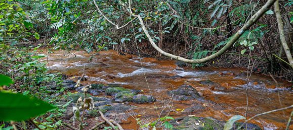 3 bedrooms House in South Johnstone, Australia No. 774 8