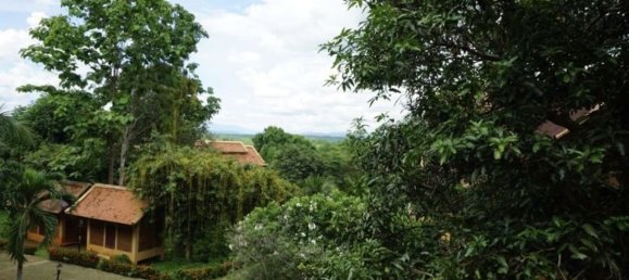 4 bedrooms Cafe / restaurant in Chiang Mai, Thailand No. 21809 24