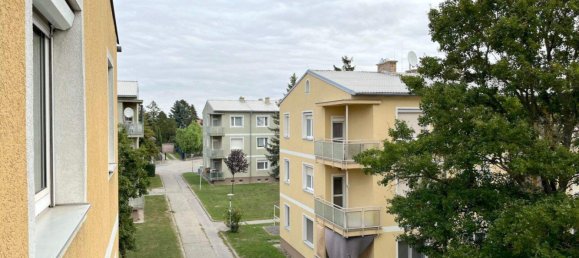 Квартира с 3 комнатами в Ауэрсталь, Австрия № 24923 11