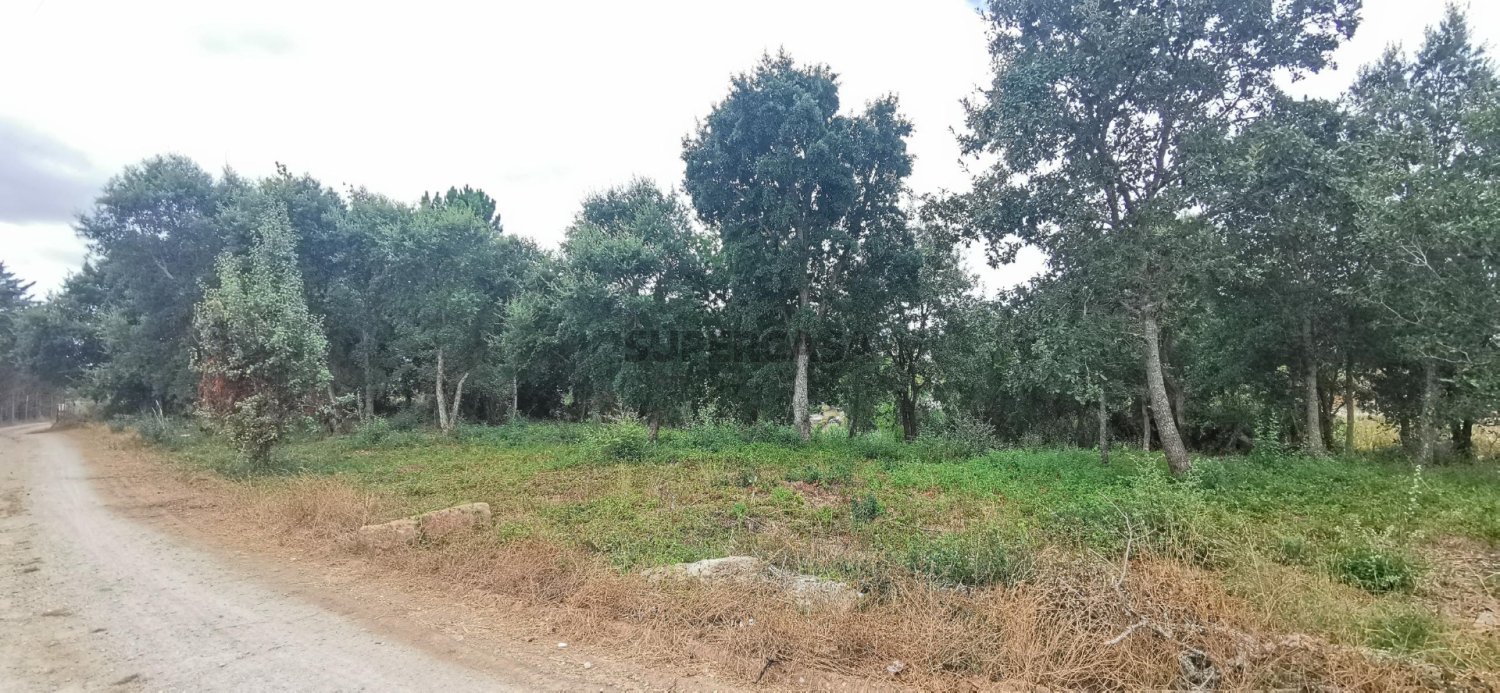 Земельный участок в Кадавал, Португалия № 322851