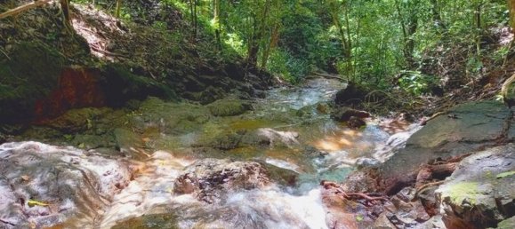 4 bedrooms House in Nicoya, Costa Rica No. 514 6