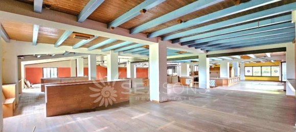 5غرفة عقار تجاري في Jesolo, Italy رقم 175268 8