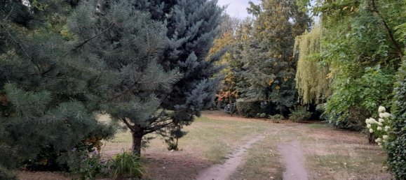 Terrain à Nordsachsen, Germany No. 359193 2