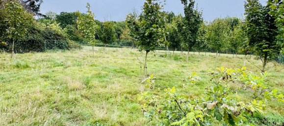 5 Schlafzimmer Stadthaus in Soest, Germany, Nr. 295912 20