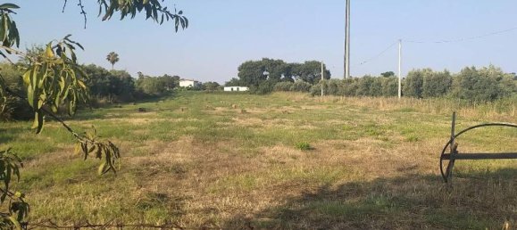 1-Zimmer Grundstück in Sellia Marina, Italy, Nr. 17634 3