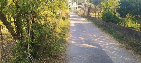 1-Zimmer Grundstück in Sellia Marina, Italy, Nr. 17634 4