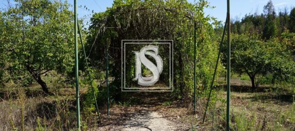 6 Schlafzimmer Villa in Sardoal, Portugal, Nr. 348990 38