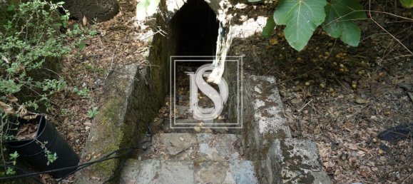 6 Schlafzimmer Villa in Sardoal, Portugal, Nr. 348990 3