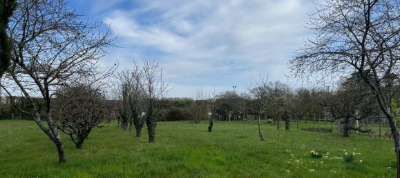 4 bedrooms House in Saint-Martin-des-Bois, France No. 85265 4