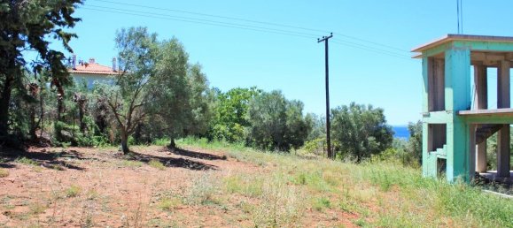 4000m² Hotel in Chalkidiki, Greece No. 6123 6