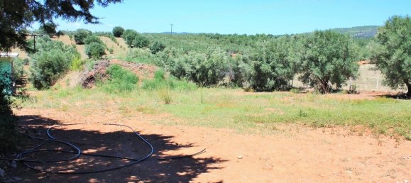 4000m² Hotel in Chalkidiki, Greece No. 6123 8