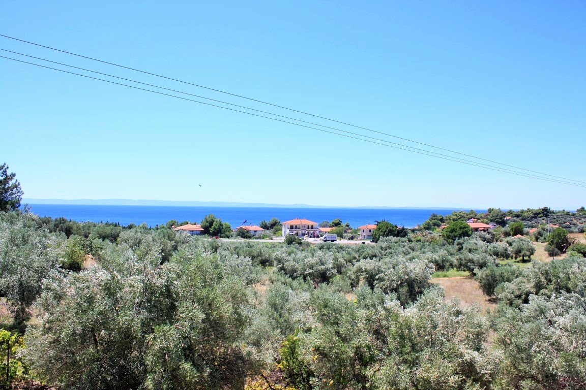 Hotel em Chalkidiki, Greece 4000 m² N.º 6123