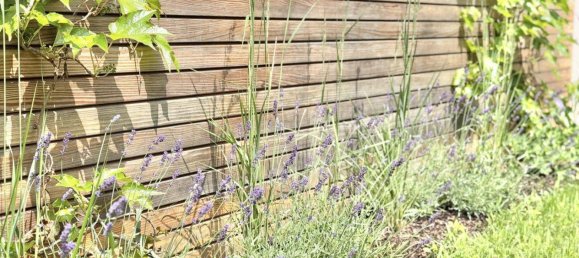 3-salle Appartement à Hernals, Austria No. 171383 39