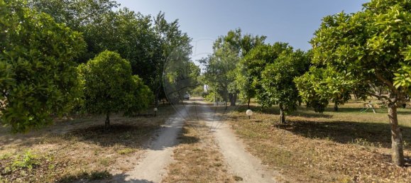 3 Schlafzimmer Haus in Canha, Portugal, Nr. 289907 3