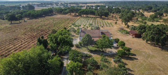 3 Schlafzimmer Haus in Canha, Portugal, Nr. 289907 47